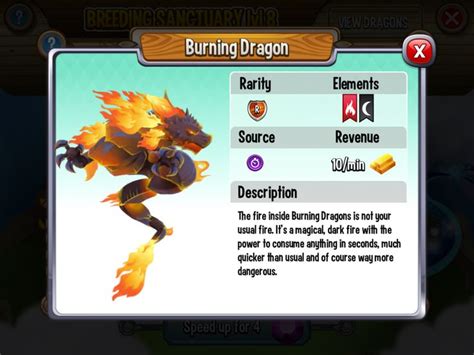 burning dragon dragon city|burning dragon city.